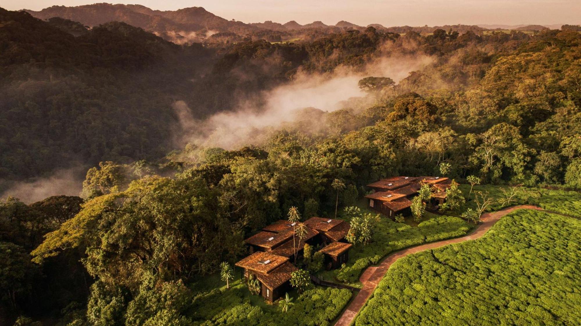 Villa One&Only Nyungwe House à Rwumba Extérieur photo